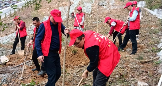 鏉戜紒鍏卞缓锛屽叡妞嶅厛閿嬫灄